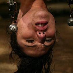 LieLani in 'Kink' Lovely Lielani Submits to the Armory! (Thumbnail 3)