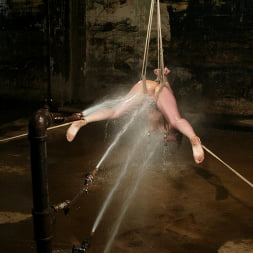 LieLani in 'Kink' Lovely Lielani Submits to the Armory! (Thumbnail 4)