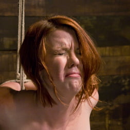 Lilla Katt in Denial of Service Attack: Lilla Katt NOT allowed to orgasm (Photo 11) Lilla Katt in 'Kink' Denial of Service Attack: Lilla Katt NOT allowed to orgasm (Thumbnail 11)