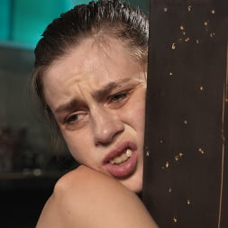 Lilly Jade en 'Kink' Carne fresca y tierna (Miniatura 19)