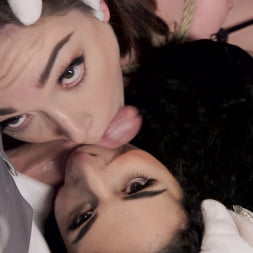 Lily LaBeau in 'Kink' Evil French Maid Steals All The Anal (Thumbnail 22)
