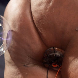 Lisa Tiffian in 'Kink' vs. Cherry Torn: Anal Slut Loves First Time Electro Sex! (Thumbnail 15)