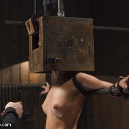 Liv Aguilera en 'Kink' Joven latina puta dolorida (Miniatura 9)
