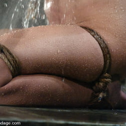 Lola in Lola (Photo 9) Lola in 'Kink' Lola (Thumbnail 9)
