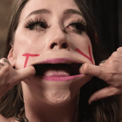 Lola Mai in and Vanessa Vega's V-Day: Extreme Humiliation and Submission (Photo 3) Lola Mai in 'Kink' and Vanessa Vega's V-Day: Extreme Humiliation and Submission (Thumbnail 3)