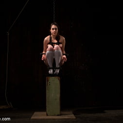 Lori Adorable in The Harder the Bondage the Harder they Cum: Innocent Brunette Demolished (Photo 3) Lori Adorable in 'Kink' The Harder the Bondage the Harder they Cum: Innocent Brunette Demolished (Thumbnail 3)