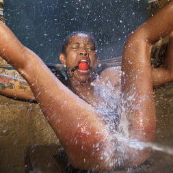 Lotus Lain in 'Kink' Bondage, Water Torment, and Squirting Orgasms!!! (Thumbnail 15)