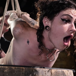 Lydia Black in 'Kink' Endures (Thumbnail 21)