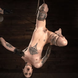 Lydia Black in 'Kink' Suffers in Grueling Bondage (Thumbnail 14)