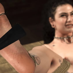 Lydia Black in 'Kink' Suffers in Grueling Bondage (Thumbnail 23)