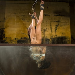 Lyla Storm in 'Kink' Extreme Suffering - Lyla Storm (Thumbnail 8)