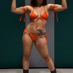 Lyla Storm en RD 1 del Live Tag Team de abril Rain DeGrey y Yasmine Loven vs The Dragon y Lyla Storm (foto 9) Lyla Storm en 'Kink' RD 1 del Live Tag Team de abril Rain DeGrey y Yasmine Loven vs The Dragon y Lyla Storm (Miniatura 9)