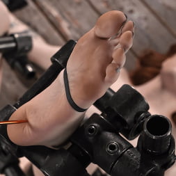 Madi Collins in Fresh Meat: Madi Collins (Photo 21) Madi Collins in 'Kink' Fresh Meat: Madi Collins (Thumbnail 21)