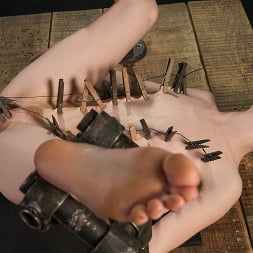 Madi Collins in 'Kink' Just Take It (Thumbnail 23)