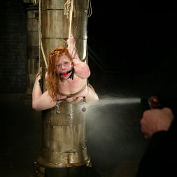 Madison Young in 'Kink' Hotter Than Ever! (Thumbnail 3)