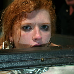 Madison Young in 'Kink' Hotter Than Ever! (Thumbnail 5)