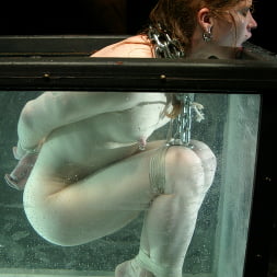 Madison Young in 'Kink' Hotter Than Ever! (Thumbnail 6)
