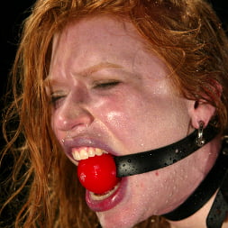 Madison Young in 'Kink' Hotter Than Ever! (Thumbnail 15)