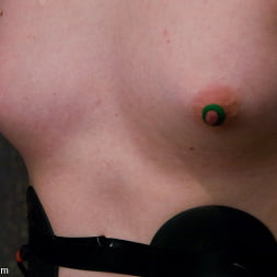 Maitresse Madeline in vs Bronte (Photo 8) Maitresse Madeline in 'Kink' vs Bronte (Thumbnail 8)