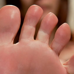 Maitresse Madeline in Maitresse Madeline's POV foot fetish teaser BONUS! (Photo 11) Maitresse Madeline in 'Kink' Maitresse Madeline's POV foot fetish teaser BONUS! (Thumbnail 11)