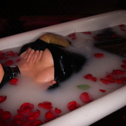 Maitresse Madeline Marlowe in 'Kink' Reservation: Cuckold (Thumbnail 18)