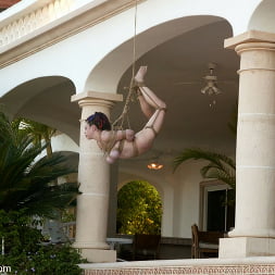 Mallory Knots in Cabo: Weekend Nightmare Part 5 (Photo 1) Mallory Knots in 'Kink' Cabo: Weekend Nightmare Part 5 (Thumbnail 1)