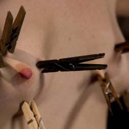 Mallory Mallone en Las pinzas de ropa son arrancadas del cuerpo de esta sexy amazona. La cuerda de su entrepierna la mantiene gritando y corriéndose. (foto 14) Mallory Mallone en 'Kink' Las pinzas de ropa son arrancadas del cuerpo de esta sexy amazona. La cuerda de su entrepierna la mantiene gritando y corriéndose. (Miniatura 14)