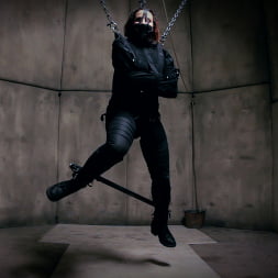 Marica Hase in Predator Games - A HogTied BDSM Fantasy Feature Movie Starring Marica Hase (Photo 14) Marica Hase in 'Kink' Predator Games - A HogTied BDSM Fantasy Feature Movie Starring Marica Hase (Thumbnail 14)