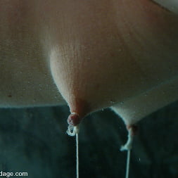 Maya Matthews in 'Kink' Maya Mathews In The First Ever Fishline Only Suspension (Thumbnail 7)