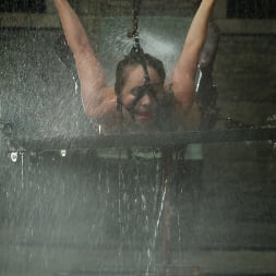 Maya Matthews in 'Kink' Maya Matthews (Thumbnail 10)