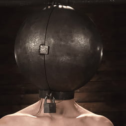 Maya Woulfe in Maya Woulfe: Diabolical Devices (Photo 13) Maya Woulfe in 'Kink' Maya Woulfe: Diabolical Devices (Thumbnail 13)