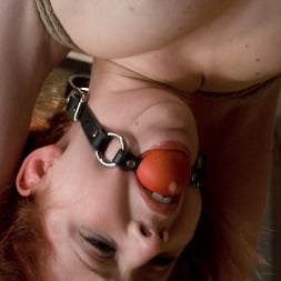 Megan Murray en 'Kink' Pequeños agujeros (Miniatura 3)