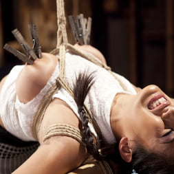 Mia Li in 'Kink' Mia Li's First Anal Bondage (Thumbnail 12)