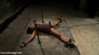 Mia Stiletto in 'Who Doesn't Love a Challenge'