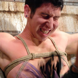 Mika Tan in 'Kink' and Danny Wylde (Thumbnail 9)