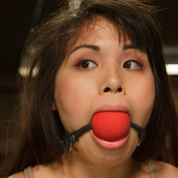 Milcah Halili in 'Kink' Hot Babe Tormented in Hard Bondage (Thumbnail 9)
