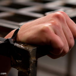 Missy Minks in Breaking the Innocent (Photo 5) Missy Minks in 'Kink' Breaking the Innocent (Thumbnail 5)