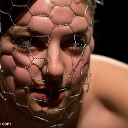 Missy Minks in Breaking the Innocent (Photo 13) Missy Minks in 'Kink' Breaking the Innocent (Thumbnail 13)