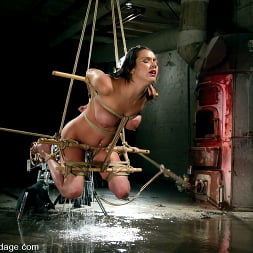 Nadia Styles in Nadia Styles (Photo 7) Nadia Styles in 'Kink' Nadia Styles (Thumbnail 7)