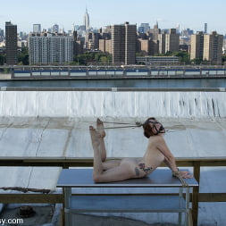 Nadia Styles in 'Kink' WIREDPUSSY IN NEW YORK  5 (Thumbnail 7)
