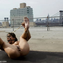 Nadia Styles in WIREDPUSSY IN NEW YORK Wiredpussy presents a series of public shoots all shot in NYC (Photo 15) Nadia Styles in 'Kink' WIREDPUSSY IN NEW YORK Wiredpussy presents a series of public shoots all shot in NYC (Thumbnail 15)