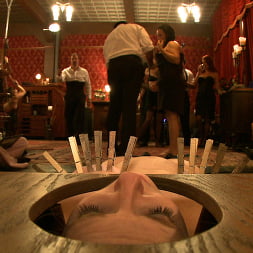 Nerine Mechanique in Stefanos' Brunch (Photo 10) Nerine Mechanique in 'Kink' Stefanos' Brunch (Thumbnail 10)