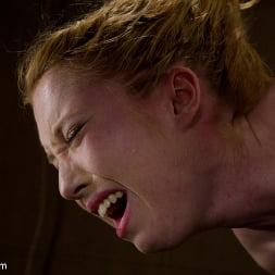 Nicki Blue in So Virginal (Photo 16) Nicki Blue in 'Kink' So Virginal (Thumbnail 16)