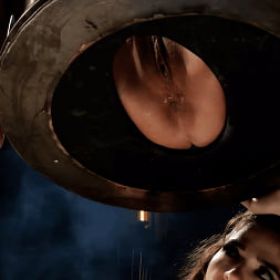 Nicole Aria in 'Kink' Greedy Gorgeous Asshole (Thumbnail 5)