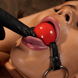 Nicole Aria in is Back For More (Photo 23) Nicole Aria in 'Kink' is Back For More (Thumbnail 23)
