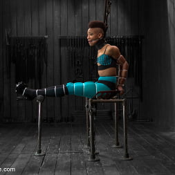 Nikki Darling in 'Kink' Defiled - Nikki Darling (Thumbnail 1)