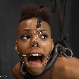 Nikki Darling in 'Kink' Defiled - Nikki Darling (Thumbnail 4)