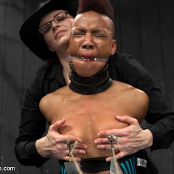 Nikki Darling in 'Kink' Defiled - Nikki Darling (Thumbnail 14)