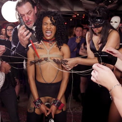 Nikki Darling en 'Kink' Servicio de zorras anales bien entrenadas en Folsom Orgy (Miniatura 8)