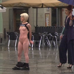 Nora Barcelona in Naughty Bitch Gets The Bone She's After - Part 2 (Photo 2) Nora Barcelona in 'Kink' Naughty Bitch Gets The Bone She's After - Part 2 (Thumbnail 2)